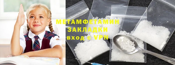 прущие грибы Верхний Тагил
