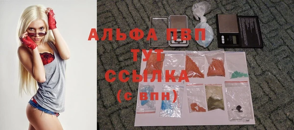 прущие грибы Верхний Тагил