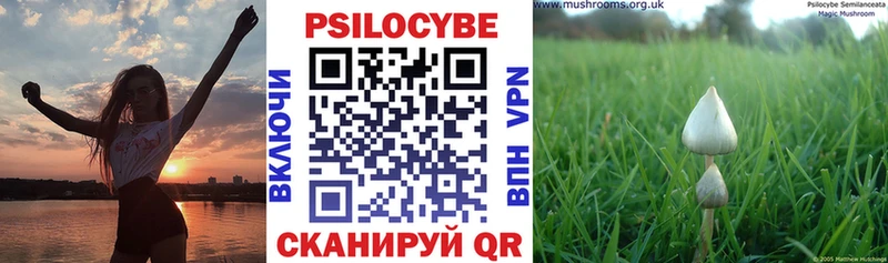 Галлюциногенные грибы Magic Shrooms  Купить закладки  Бирюсинск 